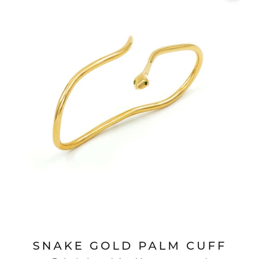 Palm Jewelry Snake